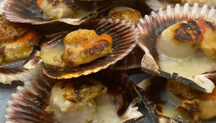 Zamburiñas a la gallega foto